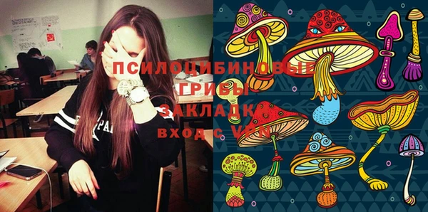 твердый Алексин